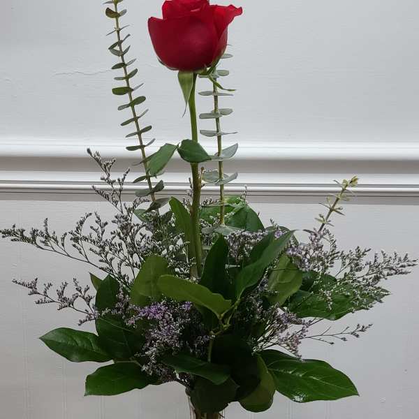 Single red rose in a clear glass vase with tall greenery