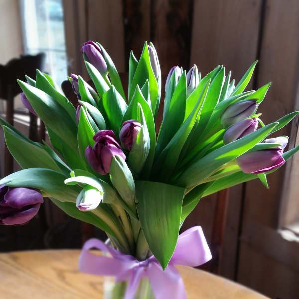 Purple tulips in a glass vase tied with a lavender ribbon