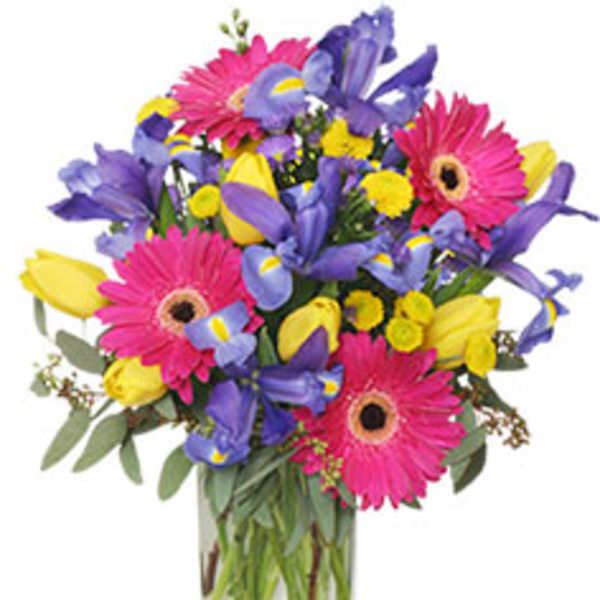 Bright bouquet of pink gerbera daisies, yellow tulips, and purple irises in a glass vase