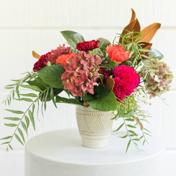 holiday cheer creation