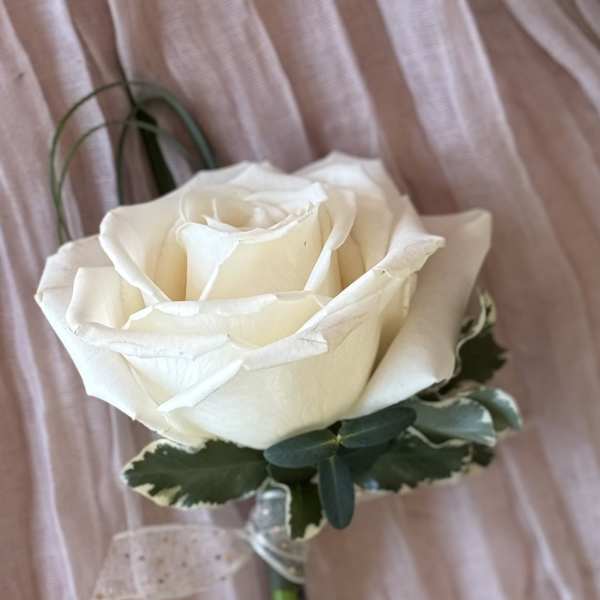 Playa Bianca Rose Boutonniere