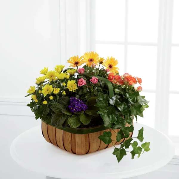 Mixed flower basket with yellow, pink, orange, and purple blooms