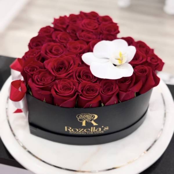 Red roses arranged in a round black box with a white orchid accent