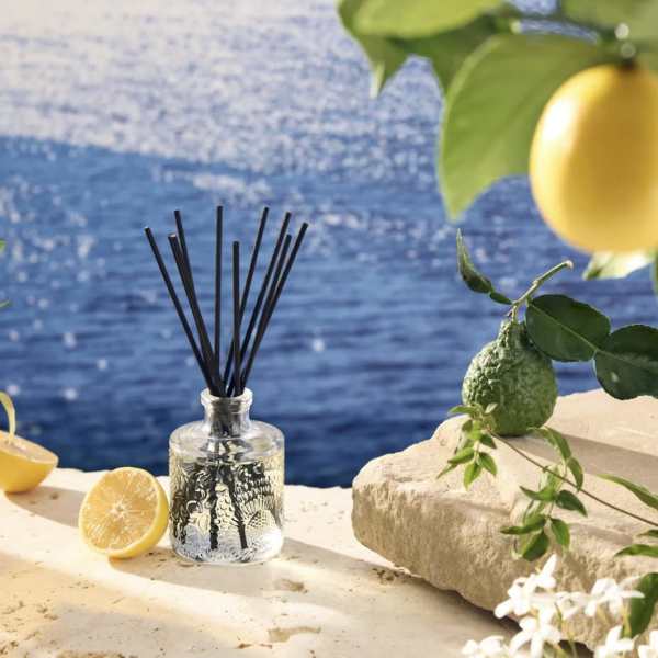 Glass reed diffuser with black sticks and lemon branches