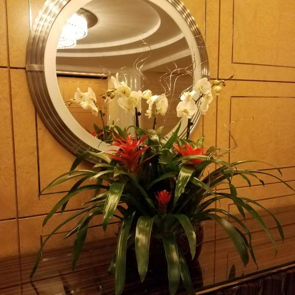 Tropical arrangement orchids and bromeliads