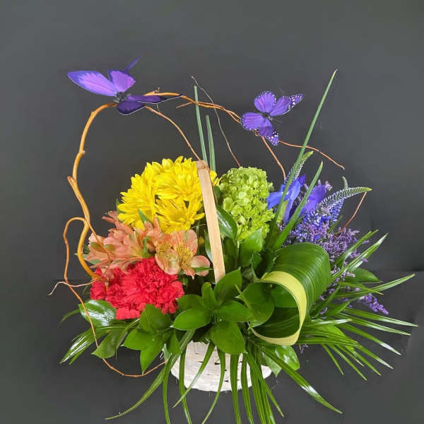 Somewhere over the rainbow