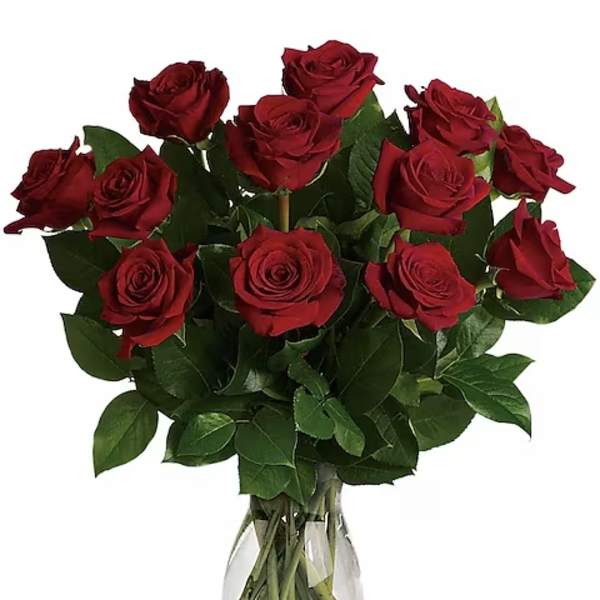 Red roses arranged in a clear glass vase