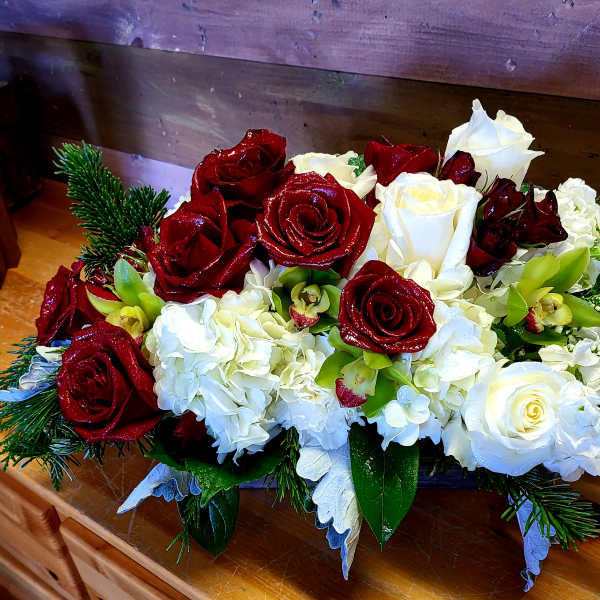 Tropical Winter Snow...