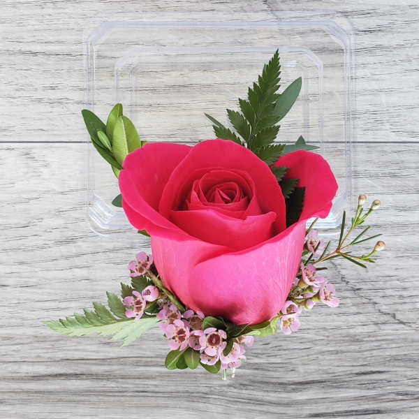 Pink rose with small pink flowers in a clear plastic box