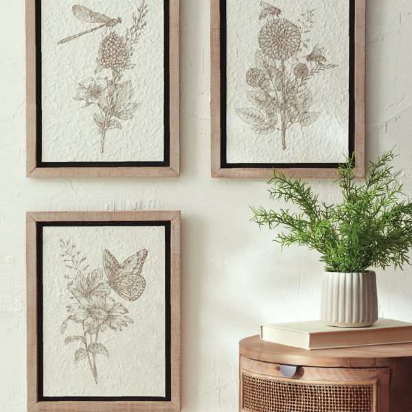 Framed Botanical Prints