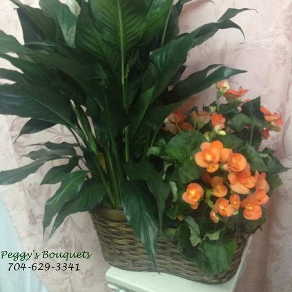 Potted green plant with orange flowers in a woven basket