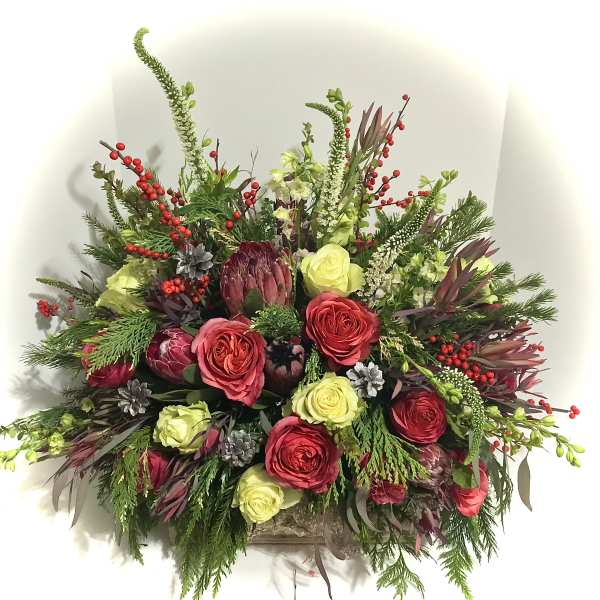 Low rectangular arrangement of red and cream roses, protea, red berries, and silver pinecones.