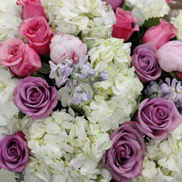 Bouquet of pink and lavender roses with white hydrangeas