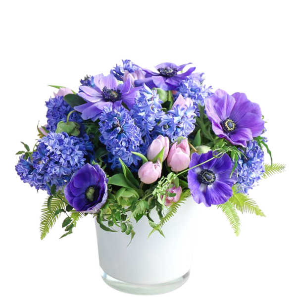 Purple and blue flowers arranged in a white vase