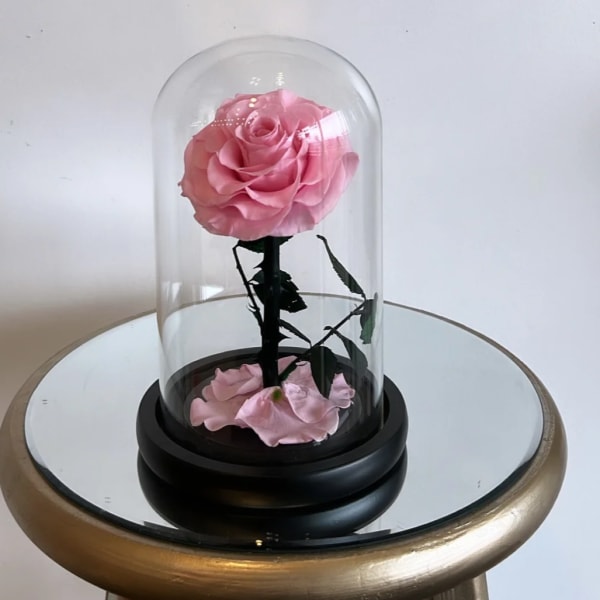 Light Pink Rose Dome Globe