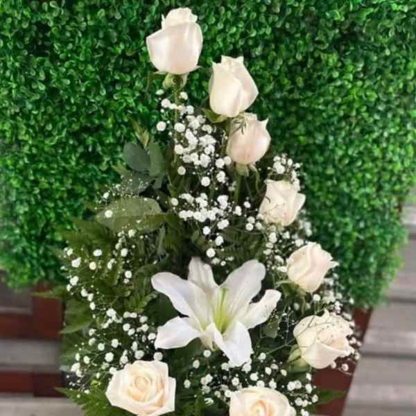 Arreglo de paz eterna