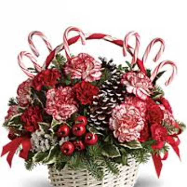 Holiday basket of red and pink carnations with candy canes and pinecones