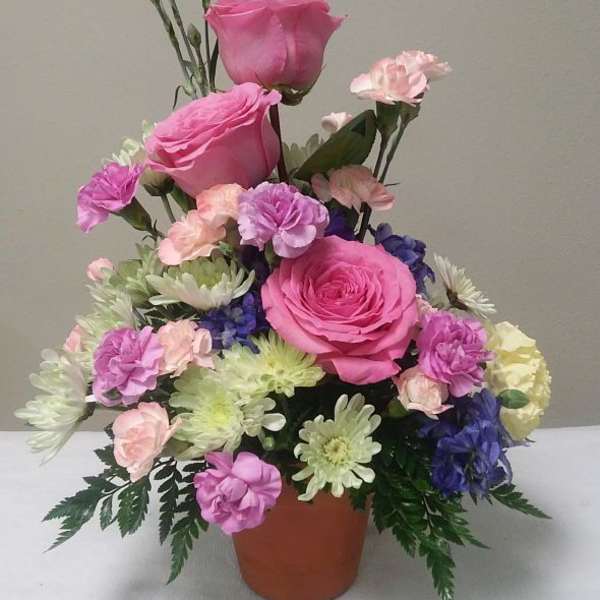 Pink roses and mixed carnations in a terracotta pot
