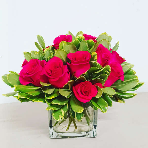 Aromatic rose of my dream flowers