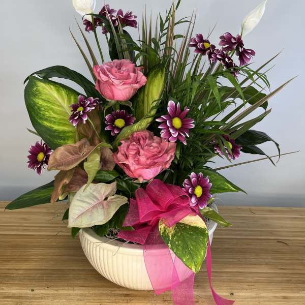 Pink roses and purple daisies in a white bowl vase with ribbon