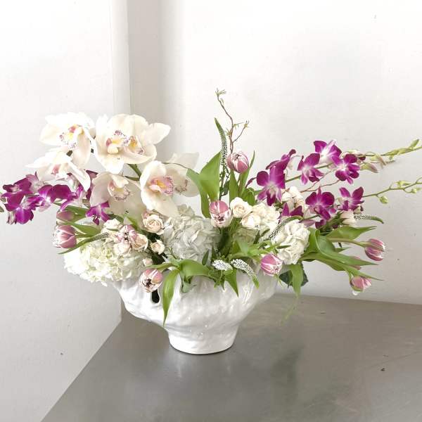 Capitol Garden Orchid Symphony