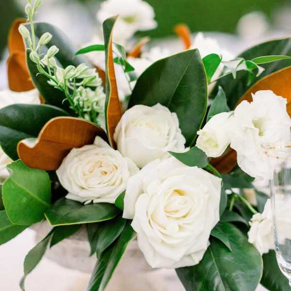 White roses arranged with glossy green leaves and brown accents