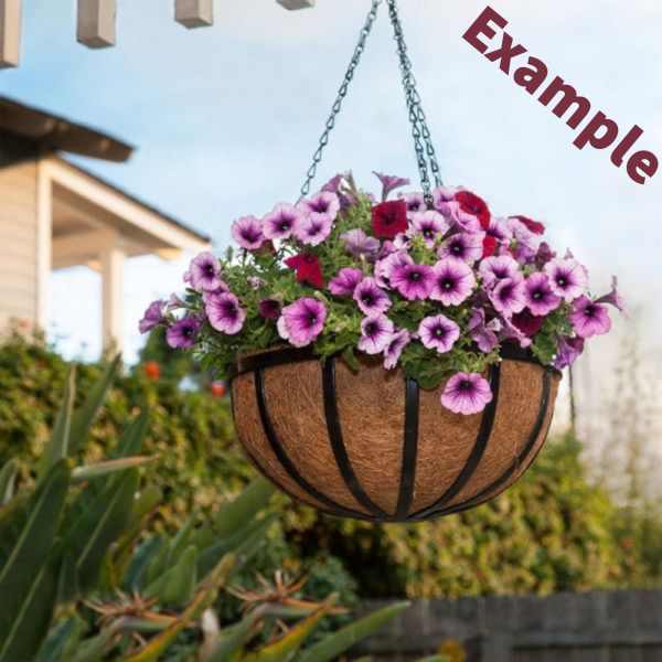 Hanging Basket (PRE ORDER FOR MOTHER'S DAY ONLY)
