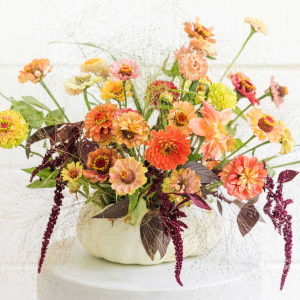 harvest elegance bouquet