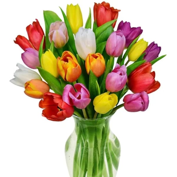 Spring Tulips Bouquet