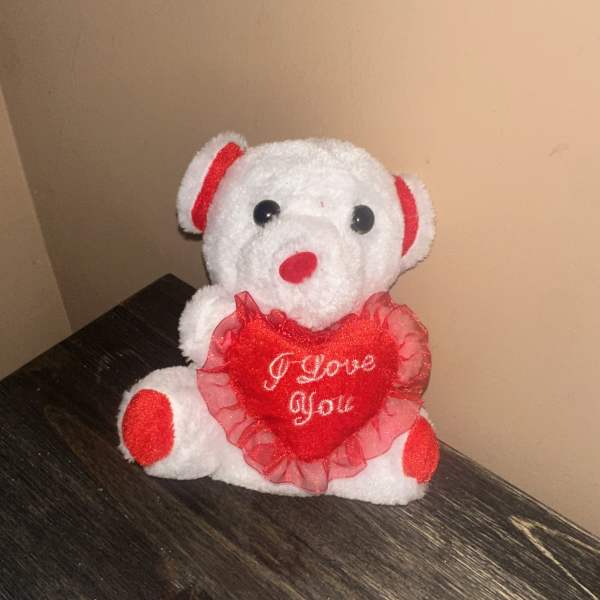 White plush teddy bear holding a red heart with "I Love You" text