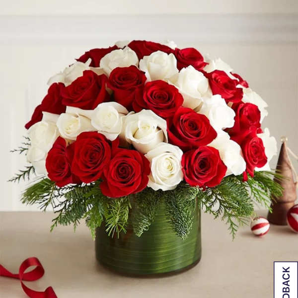 Red and white roses in a green round box with evergreen accents