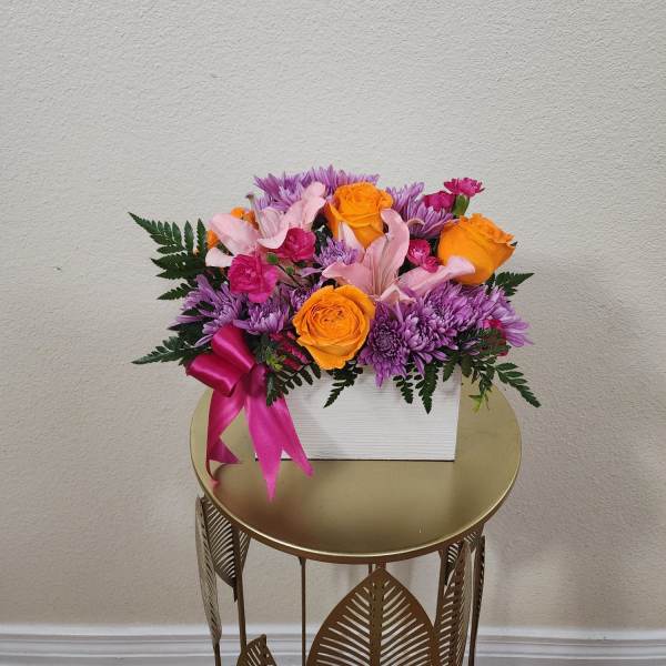 Light Of My Light Box