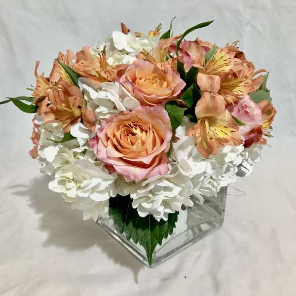 Compact arrangement of peach roses and white hydrangeas in a clear glass cube vase