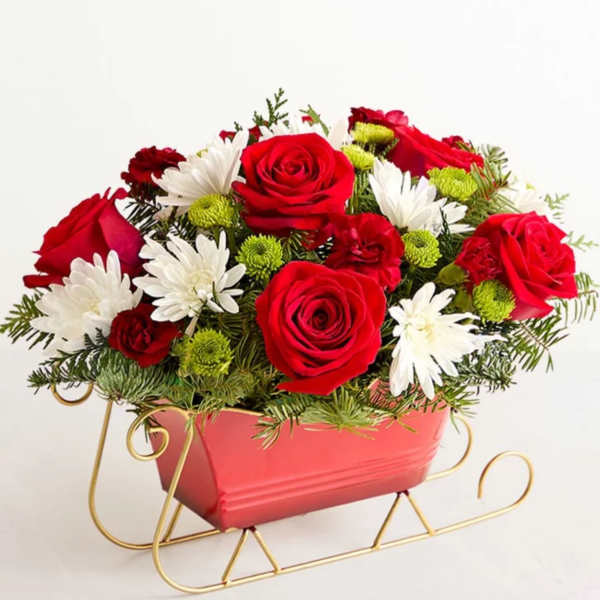 Red roses and white daisies in a pink sleigh planter