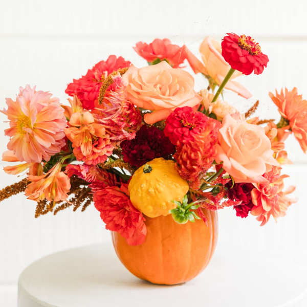 orange pumpkin creation