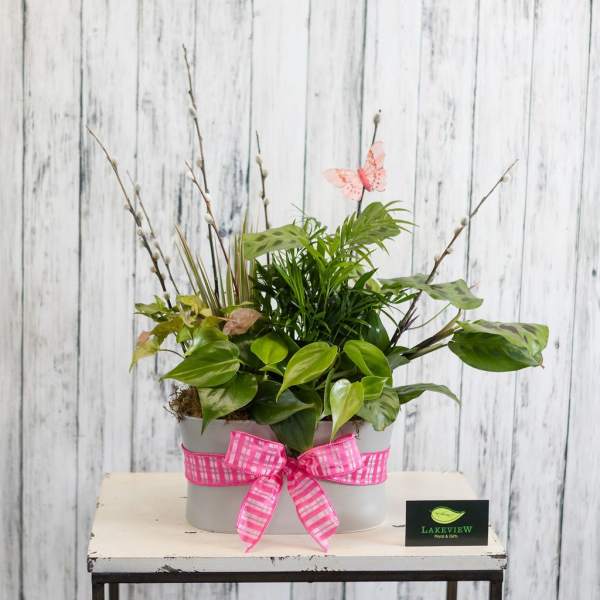 Potted green plant arrangement with a pink ribbon and butterfly pick
