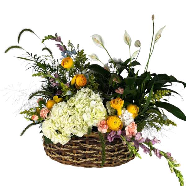 Low basket arrangement with white hydrangeas, yellow blooms, peach flowers, and tall white peace lilies.