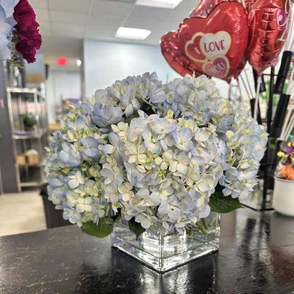Blue hydrangea arrangement in a square glass vase with red heart balloons nearby