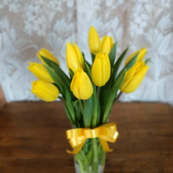 Sunny Yellow Tulips