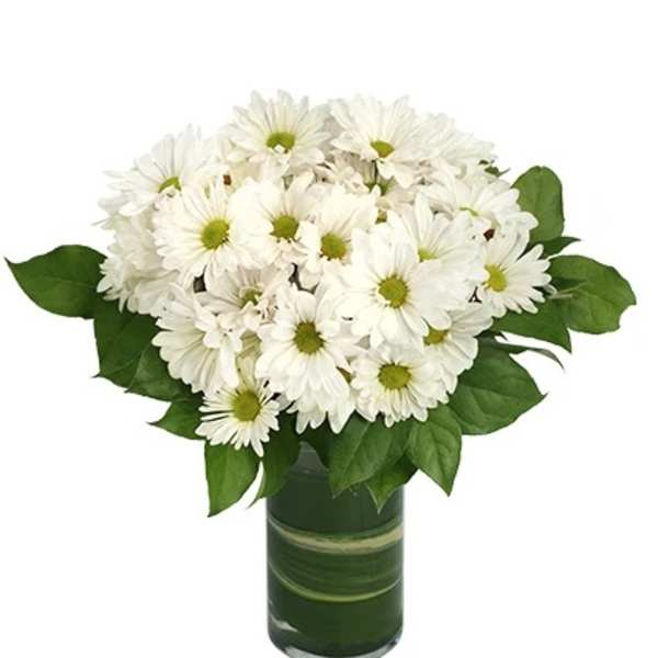 White daisy bouquet in a green glass vase