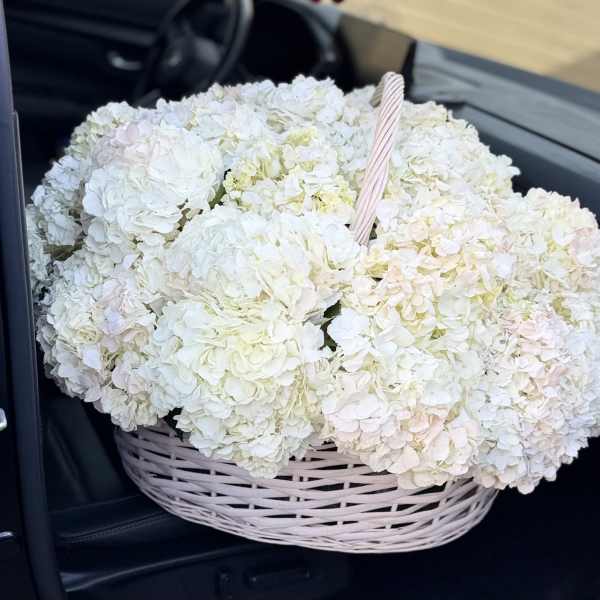 Xl Basket with hydrangeas