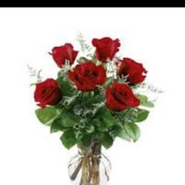 6 Red Roses