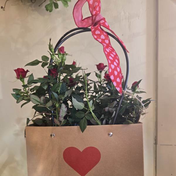 Red rose bouquet in a kraft paper gift bag with a pink heart ribbon