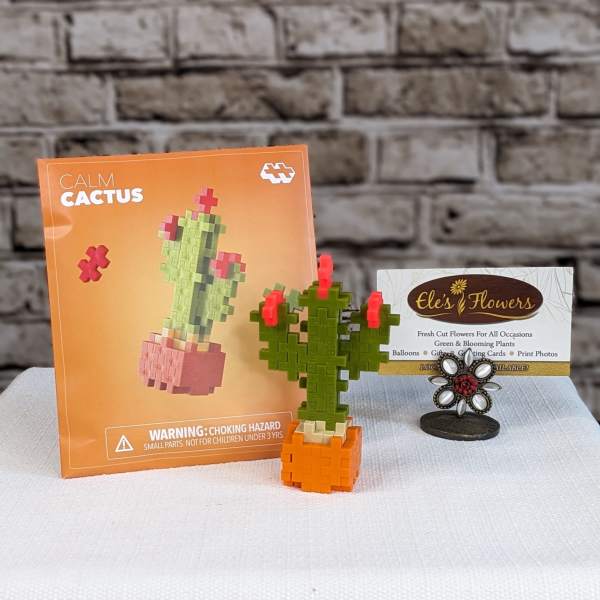 Mini block cactus figurine beside its orange packaging and a flower shop card