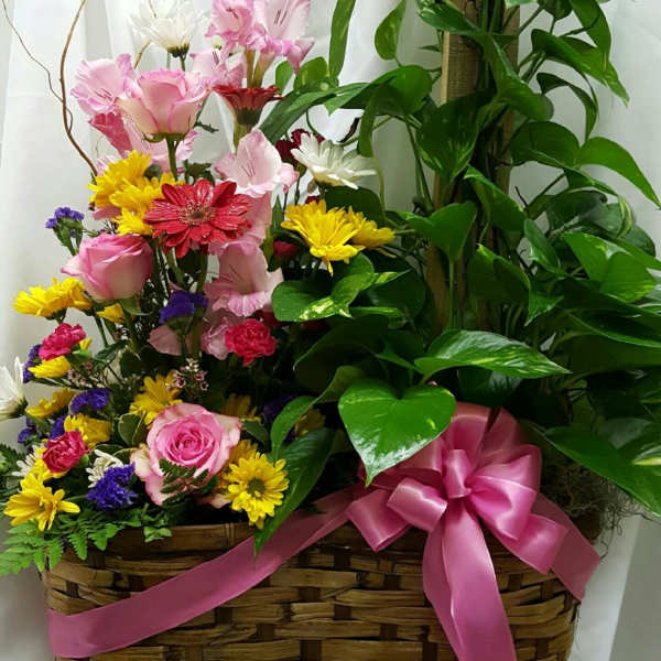 Basket arrangement with pink and yellow flowers and a large green plant