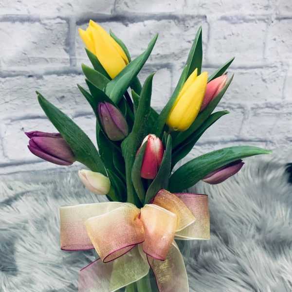 Bouquet of multicolored tulips tied with a sheer ribbon