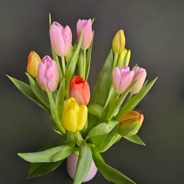 Mixed pink, yellow, and orange tulips arranged in a small pink vase