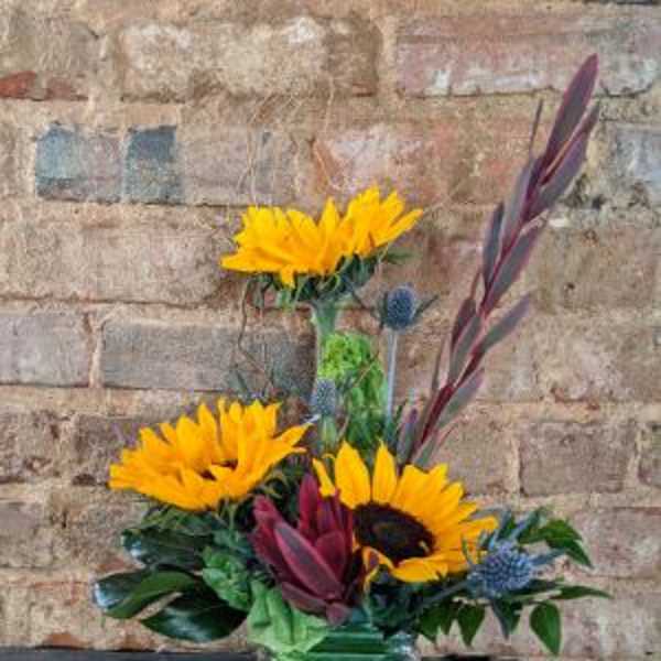 Sunflower arrangement in a green glass vase with burgundy foliage