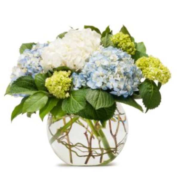 Mighty Hydrangea Bouquet