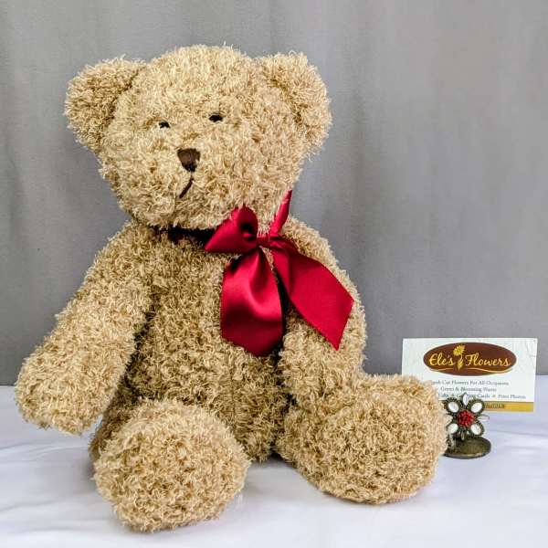 Tan plush teddy bear with a red satin bow sitting beside a florist card